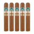 Ferio Tego Metropolitan Host Hyde Gordo Cigar - 5 Pack