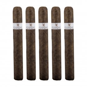 Fosforo Connecticut Toro Cigar - 5 Pack