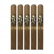 Room 101 Johnny Tobacconaut Toro Cigar - 5 pack