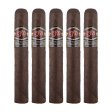 LFD DL-700 Maduro Cigar - 5 Pack