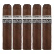 Intemperance WR Husband Petite Gordo Cigar - 5 Pack