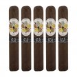 Room 101 Hit & Run Robusto Cigar - 5 Pack