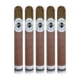 Ashton Classic Double Magnum Cigar - 5 Pack