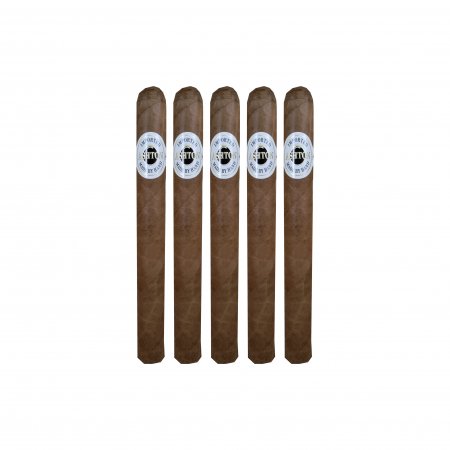 Ashton Classic Churchill - 5 Pack