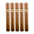 Aquitaine Cranium Gran Toro Cigar - 5 Pack