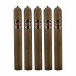 BDP Toro Cigar - 5 Pack