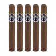 Black Star Line Marun Toro Cigar - 5 Pack