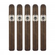 Charter Oak Broadleaf Toro Cigar - 5 Pack