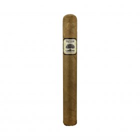Charter Oak Connecticut Shade Toro Cigar - Single
