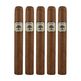 Charter Oak Habano Toro Cigar - 5 Pack