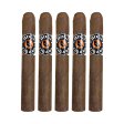 Chogui Corojo Rogusto Cigar - 5 Pack