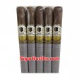 Don Doroteo El Legado Corona Cigar - 5 Pack