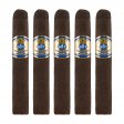 601 Maduro Robusto Cigar - 5 Pack