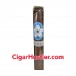 Room 101 Farce Nicaragua Robusto Cigar - Single