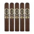 Ferio Tego Summa Robusto Cigar - 5 Pack