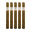 Fosforo Connecticut Corona Gorda Cigar - 5 Pack