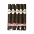 FQ Proper Toro Gordo Cigar - 5 Pack