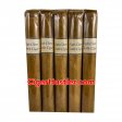 Highclere Castle Test Blend Petite Corona Cigar - 5 Pack