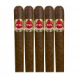 HVC Seleccion #1 Poderosos Natural Cigar - 5 Pack