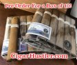 Intemperance EC XVIII Goodness BP Robusto Cigar - Single