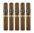 Room 101 Johnny Tobacconaut Gordo Cigar - 5 Pack