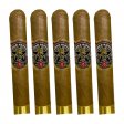 Knuckle Sandwich Connecticut Robusto Cigar - 5 Pack