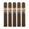 Foundation Olmec Claro Robusto Cigar - 5 Pack
