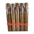 Padron 6000 Natural Torpedo Cigar - 5 Pack