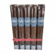 Room 101 Payback Nicaragua Toro Cigar - 5 Pack