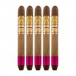 Arturo Fuente Rare Pink Sophisticated Hooker Cigar - 5 Pack