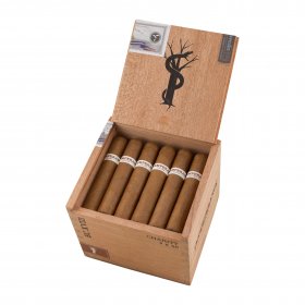 Intemperance EC XVIII Charity Petito Cigar - Box