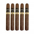 Room101 Daruma Toro Cigar - 5 Pack
