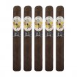 Room 101 Hit & Run Toro Cigar - 5 Pack