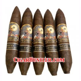 The Tabernacle David Perfecto Cigar - 5 Pack