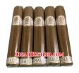 Undercrown Shade Robusto Cigar - 5 Pack
