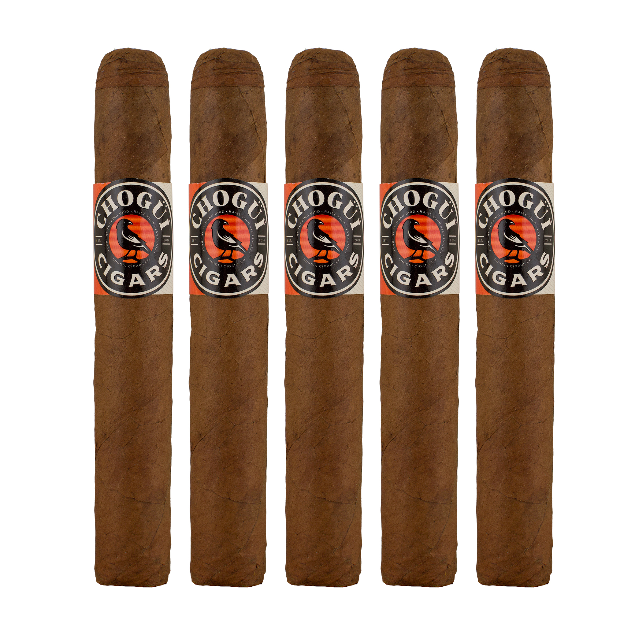 Chogui Corojo Rogusto Cigar - 5 Pack