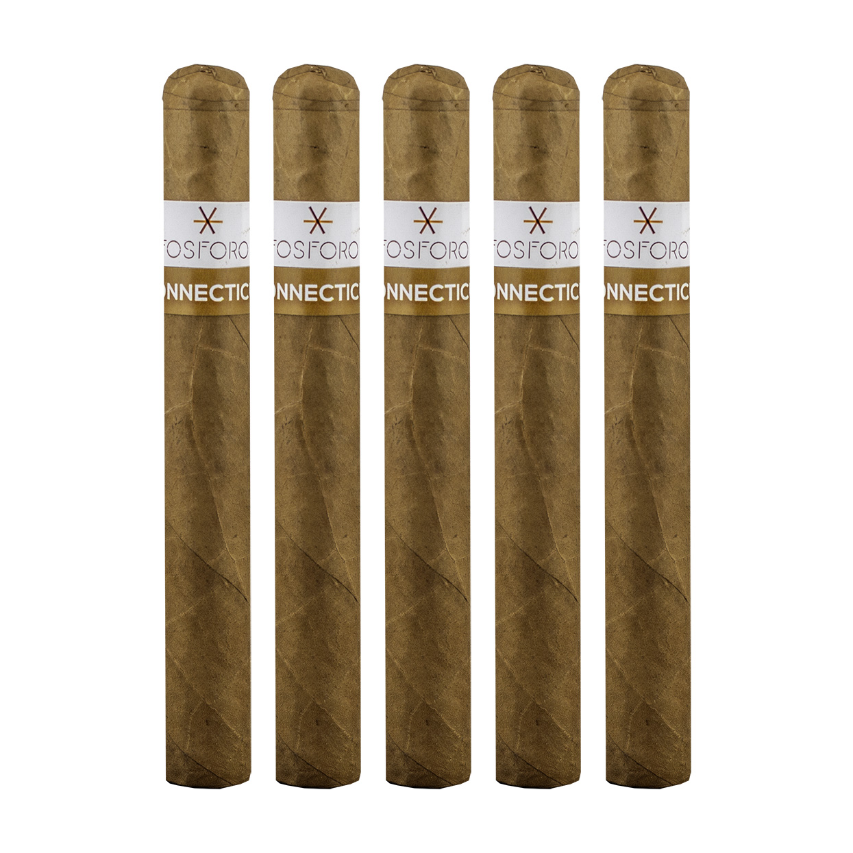 Fosforo Connecticut Corona Gorda Cigar - 5 Pack