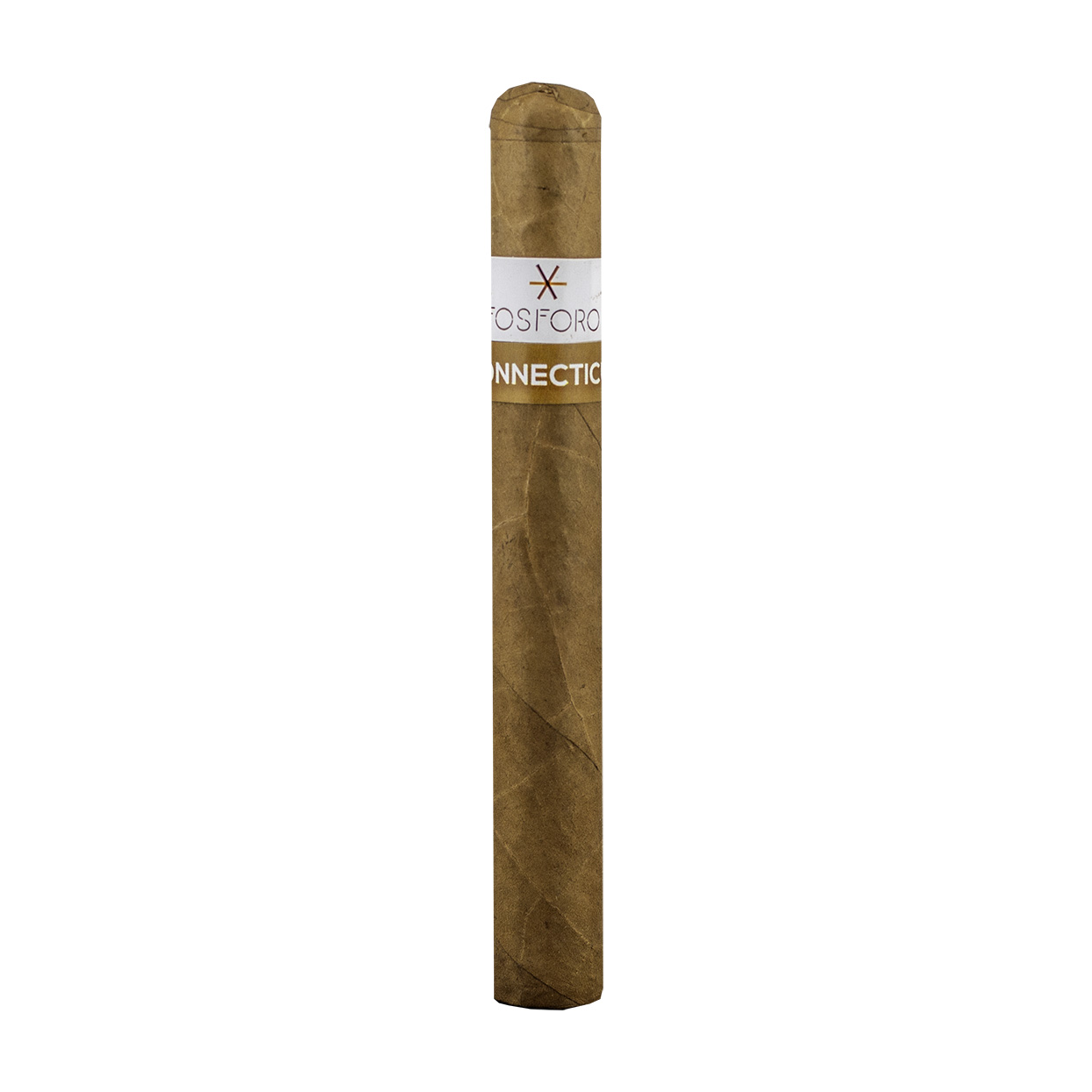 Fosforo Connecticut Corona Gorda Cigar - Single