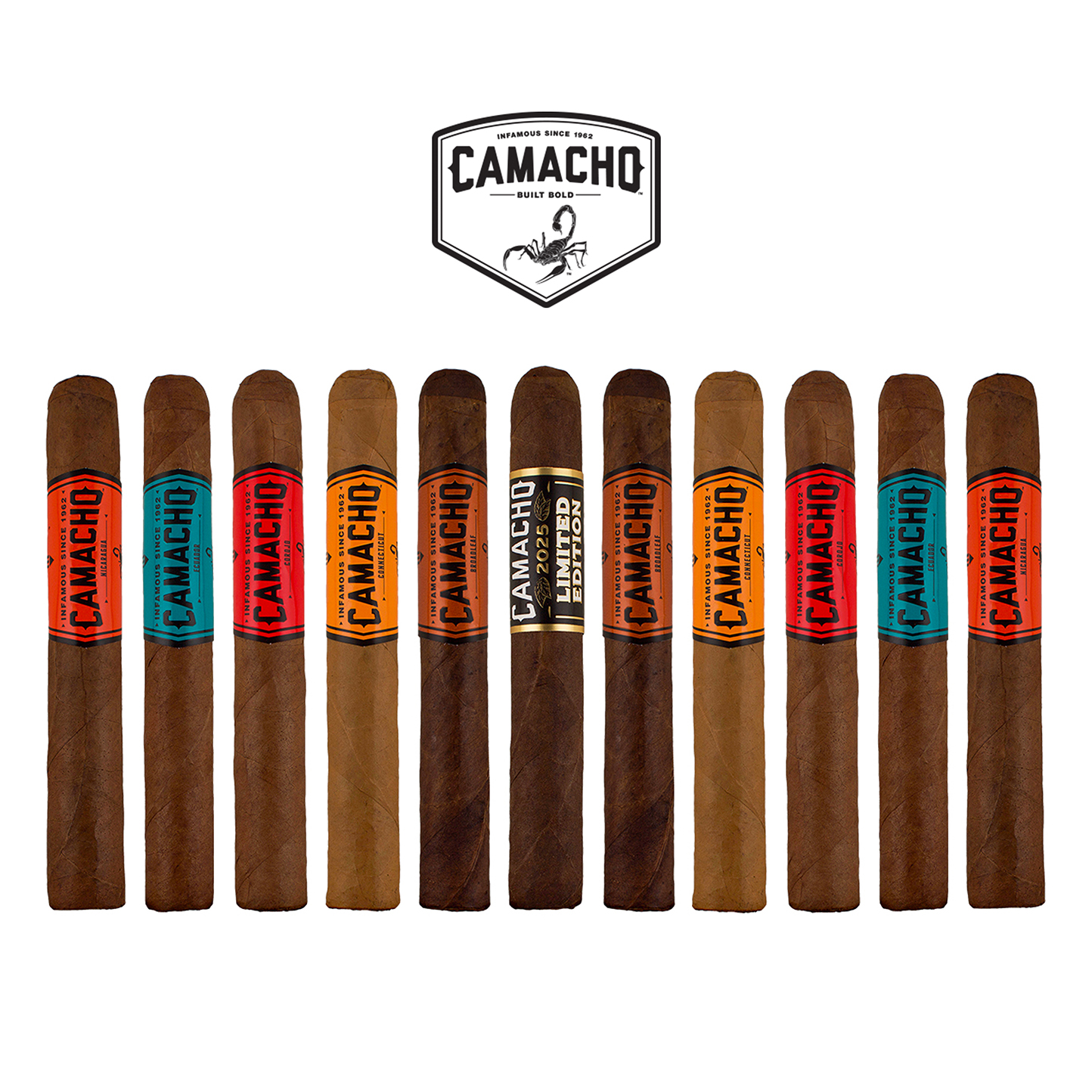 Camacho Bold LE Assortment - 11 Pack Sampler