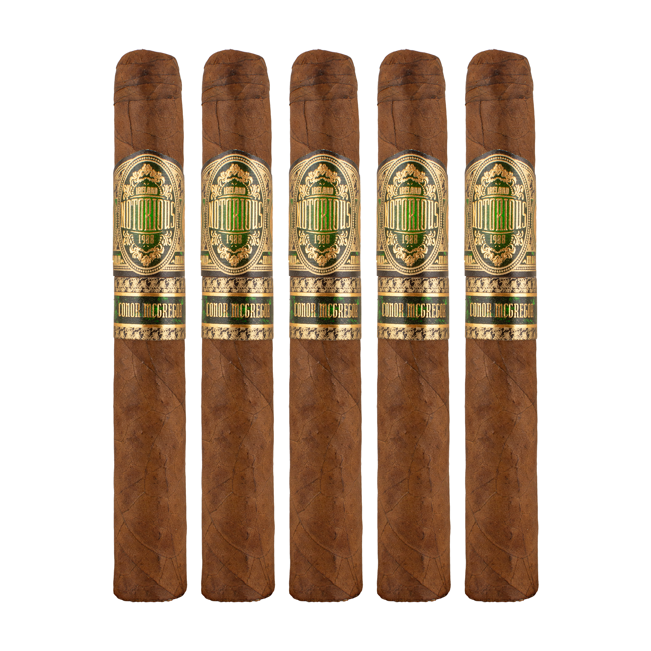 Notorious Toro Cigar - 5 Pack Notorious Toro Cigar - 5 Pack